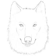 It's the paw thanks for doing this. How To Draw A Wolf Face