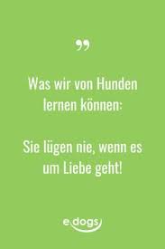 Eben hierfür gibt es einige tier sprüche und zitate, welche zum nachdenken anregen und die tiefgründigkeit der beziehung zwischen mensch und tier zum vorschein bringen können. 190 Mein Hund Der Bessere Mensch Ideen Hundespruche Hund Zitat Spruche Tiere