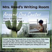 First, put the students into pairs with one worksheet per group. Around One Cactus Activities Worksheets Teachers Pay Teachers
