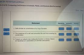 Bioflix Activity Mitosis The Cell Cycle Solved Pter 24 The Cell Cycle And Mitosis Eis 3 Of 3 Chegg Com