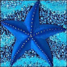 You Are So Blue Creatures Des Oceans Image Bleu Sous La Mer