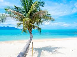 When Is The Best Time To Visit Koh Samui Koh Samui Weather