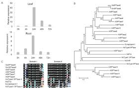 Check spelling or type a new query. Ijms Special Issue Plant Cell And Organism Development