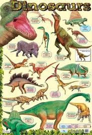 dinosaur information chart poster