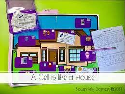 Maybe you would like to learn more about one of these? Cell Organelle Function Analogy Activity Distance Learning Analogies Activities Cell Analogy Analogy
