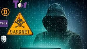 Baseline fundamental information is expected from participants before. Dark Web Complete Introduction To The Deep Dark Web 2021