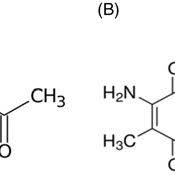 Victor CONSTANTE OLIVEIRA
