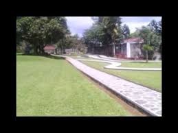 Disewakan Villa Di Puncak Untuk Reunian Ada Kolam Renang Dan Halaman Luas Kolam Renang Halaman Villa