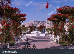 rose garden beach park maltepe istanbul stock photo edit now 1089982844