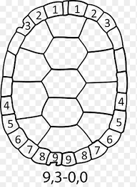 Try drawing a regular turtle, tortoise, or another reptile. Turtle Shell Painted Turtle Sea Turtle Drawing Tortoise White Animals Png Pngegg