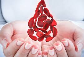 The mission of cdc's division of blood disorders is to reduce the morbidity and mortality. Que Es La Hemofilia Y Cuales Son Sus Riesgos Para La Salud La Opinion