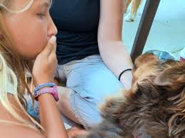 Fundraiser for Brenda Schulz Satterfield by Jon and Terri Tarcon : Help  Bailee's family pay for her emergency surgery