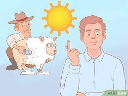 Uni schafschermaschine professionelle elektrische schaf schere / schaf wolle schere maschine für viehzucht farm, 690w. Ein Schaf Scheren Mit Bildern Wikihow