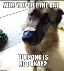 Pin By Sheryl Osborne On Hahahaha Funny Animal Jokes Funny Animals Cute Animal Memes