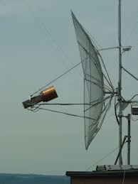 Image result for antena grillada