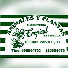 Floristería Tropical Estrella