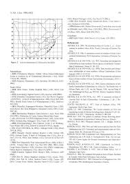 Image result for Allocassine laurifolia