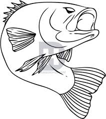 I Thought It Was Time To Do Another Drawing On A Freshwater Fish Since I Haven T Drawn Any Kind Of Water Animal La Fish Coloring Page Fish Drawings Fish Sketch