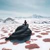 Explore the stories behind 100 images that changed the world, selected by time and an international team of curators. 1