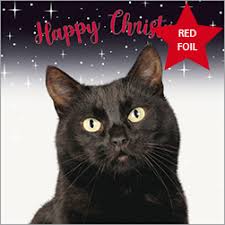 Merry christmas fat cat in santa hat and face mask holiday card. Christmas Cards Buy From The Cats Protection Charity Gift Shop
