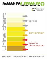 What Do The Different Shades Of Your Urine Mean Quora