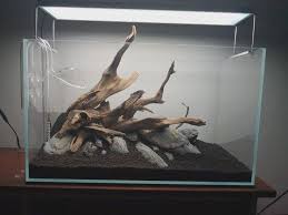 Galapagos Spider Wood Fish Tank Plants Aquarium Driftwood Fresh Water Fish Tank