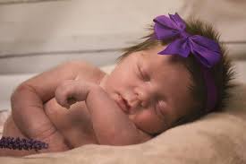 Sally Allison Photography