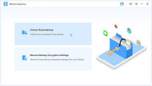 Tenorshare 4ukey itunes backup download backup unlocker uses an advanced. Best Iphone Backup Password Unlocker Software In 2021 Windows Password Reset