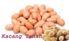 Karenanya, kamu diharuskan memilih jenis tanah yang cocok digunakan. Kacang Tanah Kandungan Dan Manfaatnya Untuk Merpati Taugitu Com
