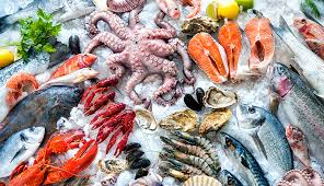 Mercury free tuna fish brands. Guidelines To Avoid Eating Fish High In Mercury