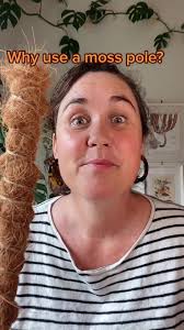 Half Moon Moss Pole Diy