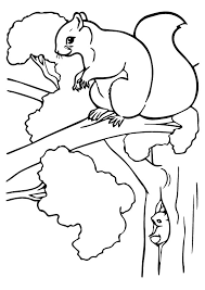 Plus, it's an easy way to celebrate each season or special holidays. Parentune Free Printable Squirrel Coloring Pages Squirrel Coloring Pictures For Preschoolers Kids