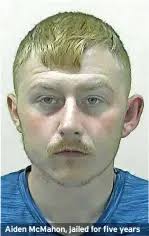 Burglar's spate of raids after his release from jail local news, community 