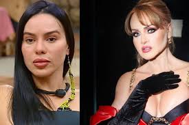 Gabriela Spanic es expulsada de un reality tras abofetear a compañera en  vivo