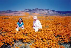 Flower count down begins, we hope to have a busy valentines flower holiday, delivering week prior. Antelope Valley Wildflowers