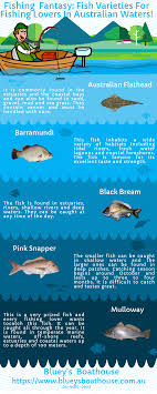 If You Love Fishing Bluey S Boathouse Give You Some Common Types Of Fish That Popularly Caught In Australia Bluey S Fishing Charters Fish Fish Varieties
