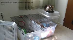 Making an amazing ikea hamster cage from a piece of furniture is a great way show off your pet. 11 Recommended Hamster Cages Diy And Purchased 2021 Small Furry Pets