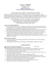 Resume Professional Profile Examples Professional Profile On Resume Professional Profile Resume Exampl Resume Profile Resume Examples Resume Profile Examples