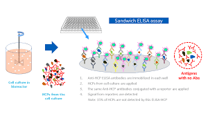 Why Why Why Elisa A Look At The Benchmark Hcp Assay Cytiva Formerly Ge Healthcare Life Sciences