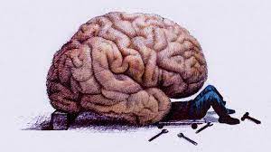 How To Turn On The Part Of Your Brain That Controls Motivation | Kqed