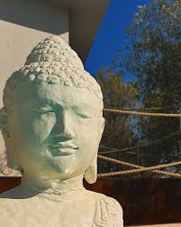 𝗩𝗶𝗻𝗰𝗲𝗻𝘁 𝗣𝗲𝗿𝗿𝗼𝗻𝗲 (@vincentperrone) • Instagram photos and  videos