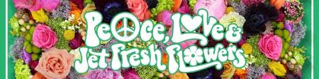 Check spelling or type a new query. Jimi The Tulip Santoli Account Manager Wholesale Floral Sales Jet Fresh Flower Distributors Jet Fresh Flower Growers S A Linkedin