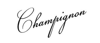 Arizonia is a modern, casual font with thin upstrokes and thick downstrokes, which makes it more suitable for titles and branding. 10 Free Amazing Calligraphy Fonts Union Room