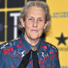 Fans Say Jimmy Fallon Landed 'SNL' Gig With This Impression