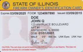 Check spelling or type a new query. Some Want To Abolish Illinois Delay Plagued Gun License Law Others Want To Modernize It The Vedette