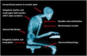 Pin On Relieve Pain From Lower Back At Ur Desk