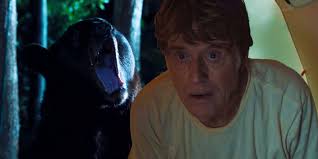 What Robert Redford's A Walk In The Woods Gets Wrong About Hiking The  Appalachian Trail (According To Experts)