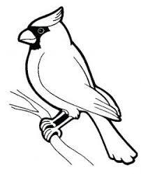 I have 2 other bird coloring books from the cornell lab of ornithology and love them as well. Birds Free Printable Coloring Pages For Kids