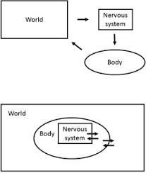 نتیجه جستجوی لغت [embodied] در گوگل