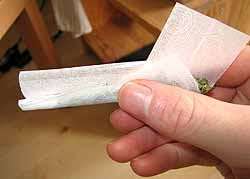 A lot of people ask me how to roll a joint or tell me they need some tips on how to roll. How To Roll A Joint Step By Step With Images